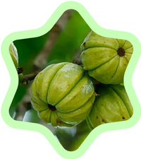Garcinia Cambogia